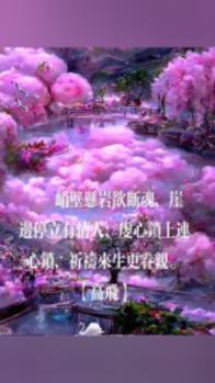 竞技宝如何
